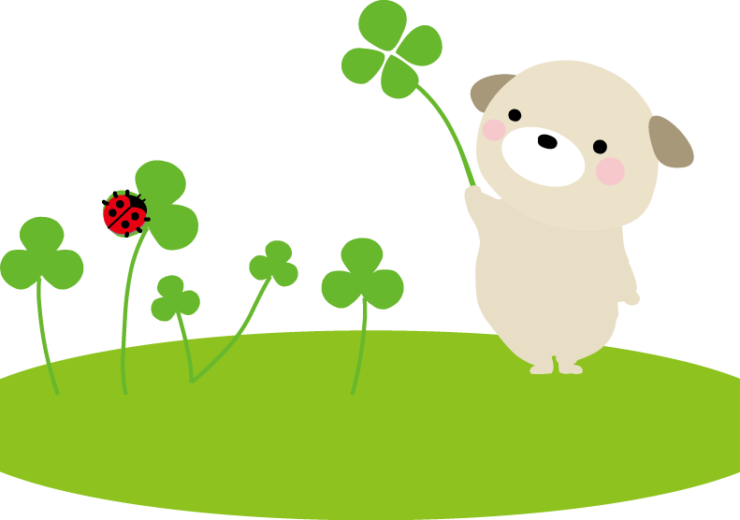 やり取りできる楽しさや わかることの安心感は どのお子さんにも大切です 親と子の相談室 Myself まいせるふ サイト